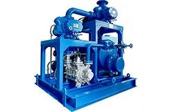 Вакуумная система EVP JZJD 300-2.1